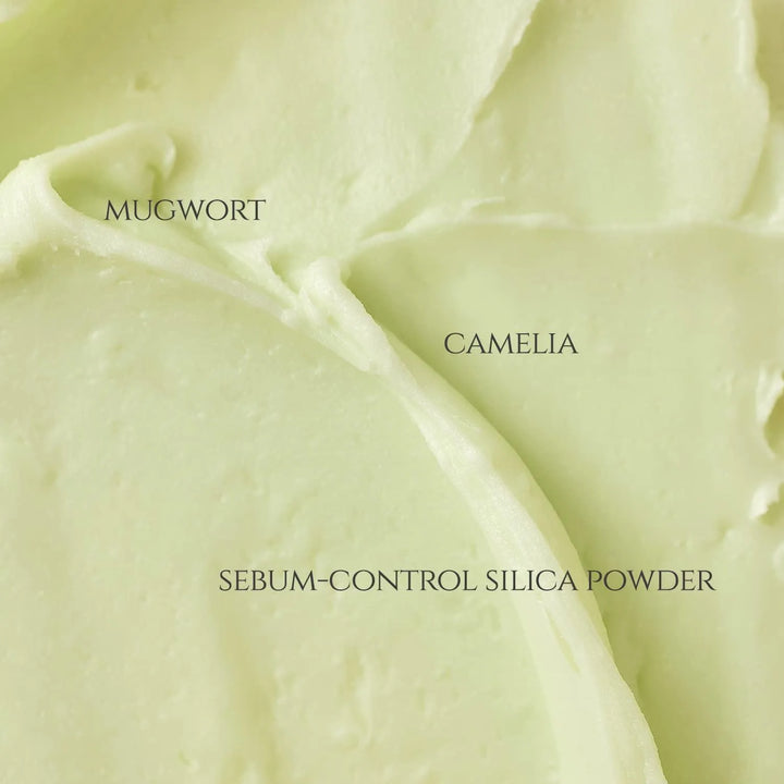 Beauty of Joseon Matte Sun Stick : Mugwort + Camelia SPF50+ PA++++