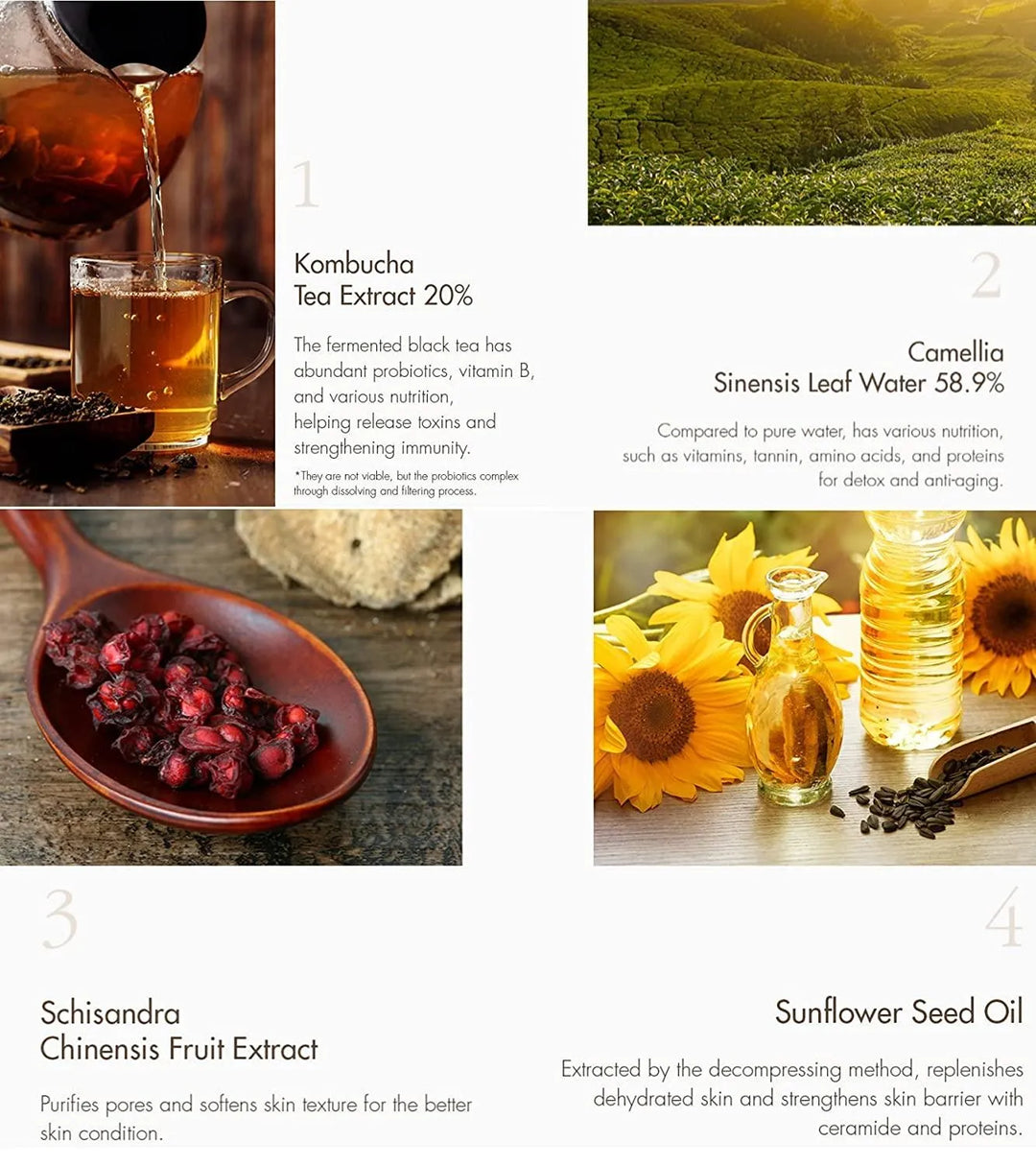 Ingredients of Dr. Ceuracle Vegan Kombucha Tea Gel Cream: kombucha tea, camellia, schisandra, sunflower oil.