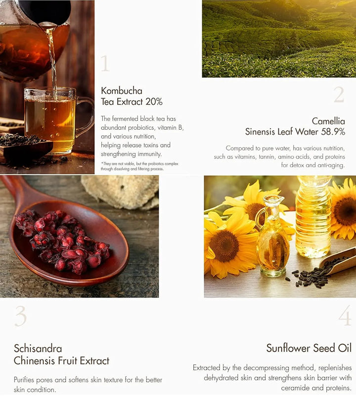 Ingredients of Dr. Ceuracle Vegan Kombucha Tea Gel Cream: kombucha tea, camellia, schisandra, sunflower oil.