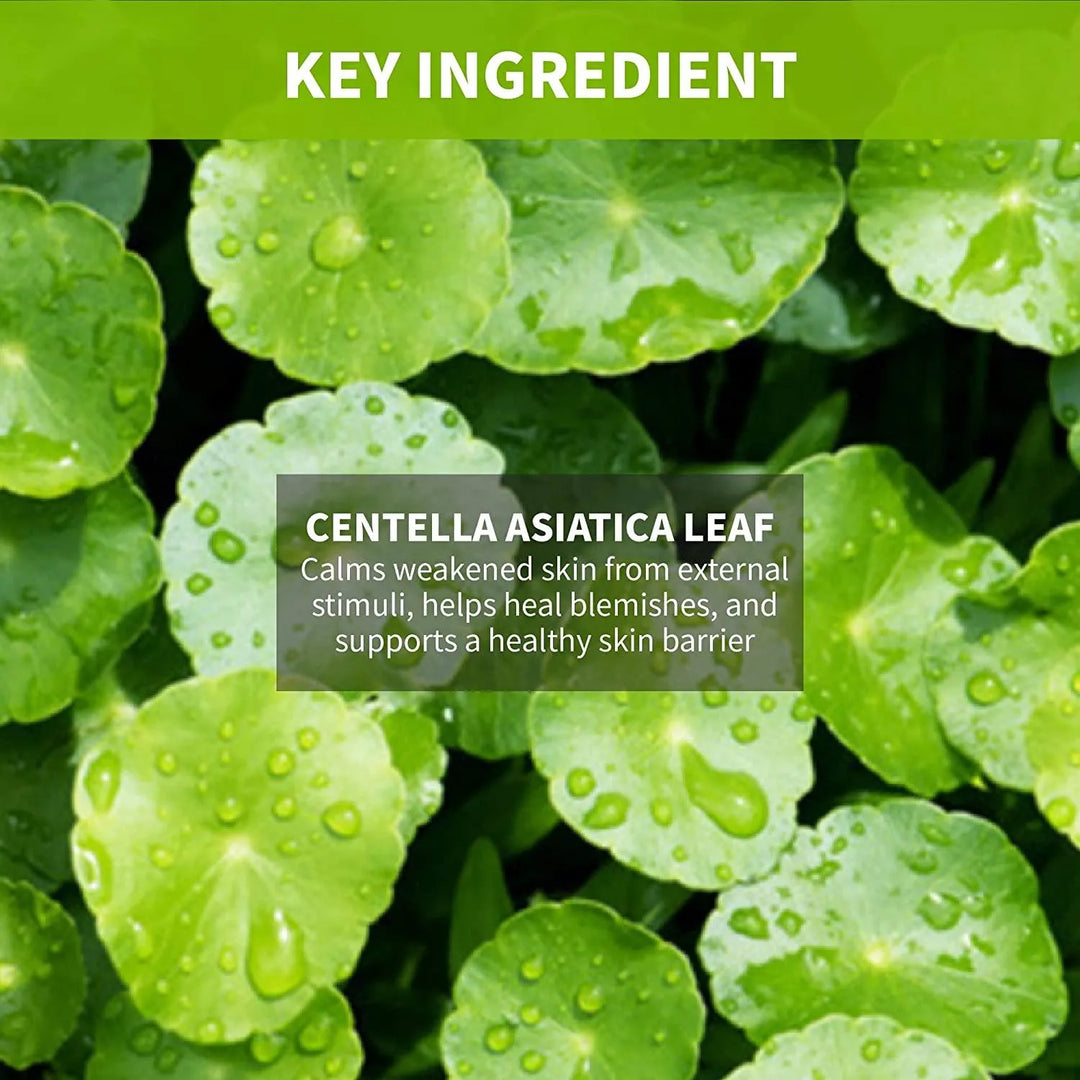 Centella Asiatica leaf key ingredient, Korean skincare, Me Time Groningen